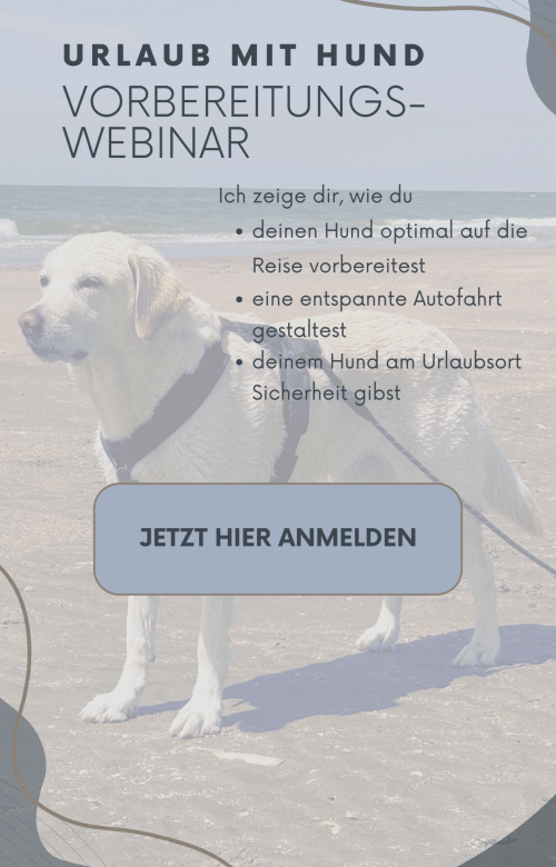 Webinar URLAUB Website